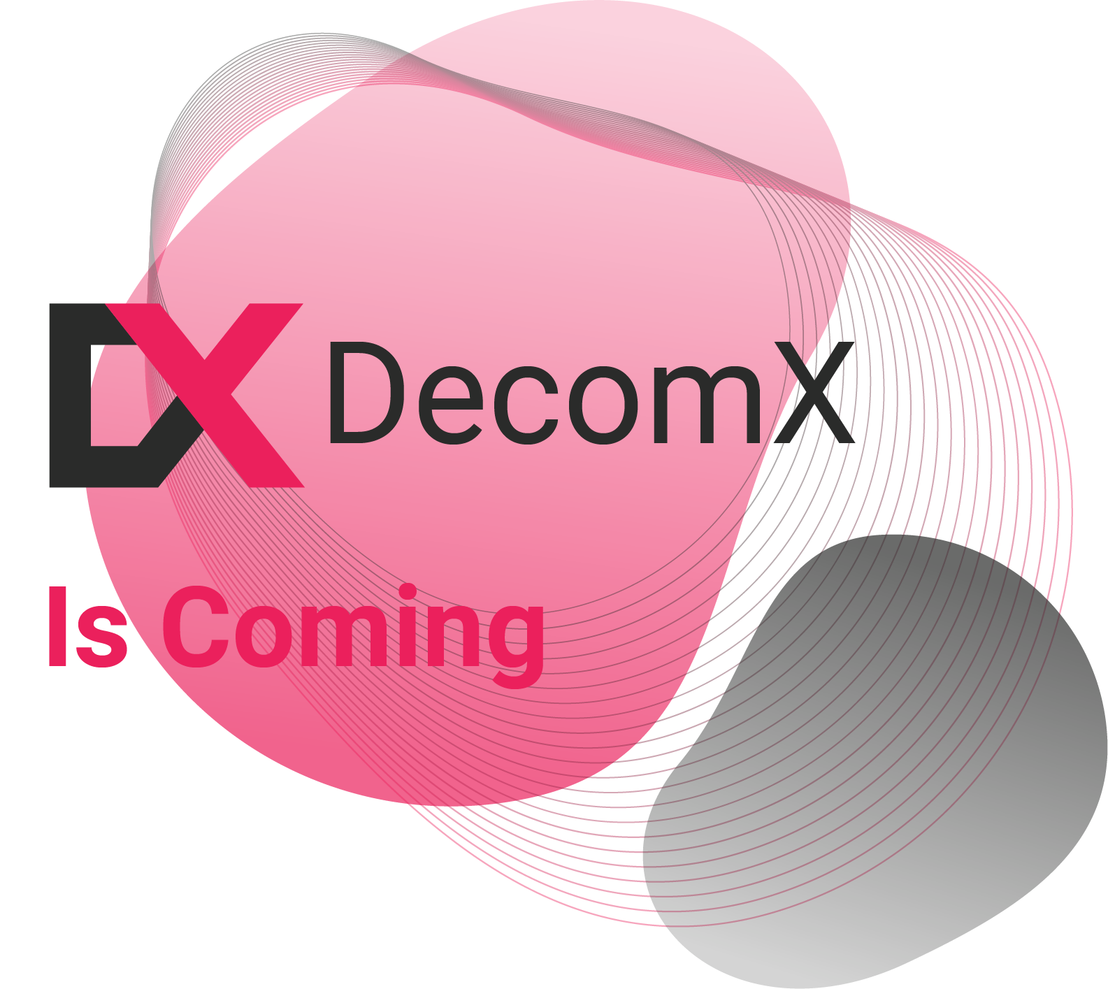 DecomX is coming